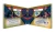 psg 5.webp