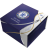 chelsea_lineage.png